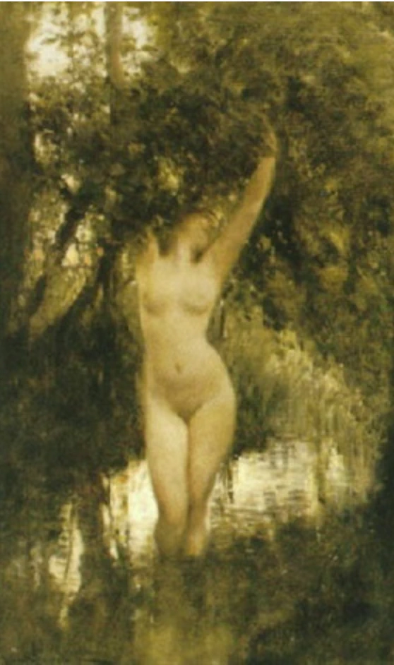 Tra gli alberi